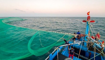 Quảng Ngãi cấm khai thác có thời hạn khu vực gần Lý Sơn và Đức Phổ